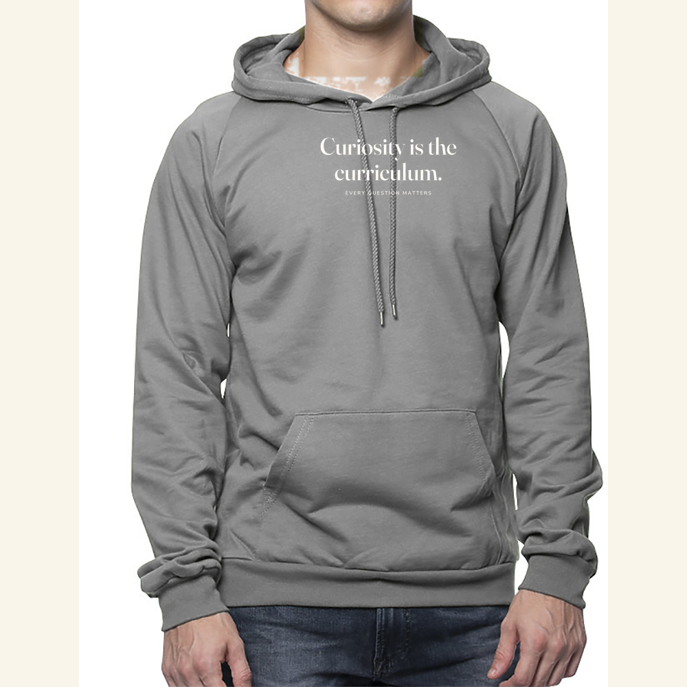 Curiosity is the curriculum. — hoodie adult Slate